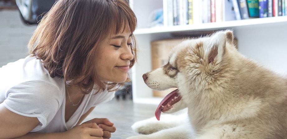 mujer perro coronavirus