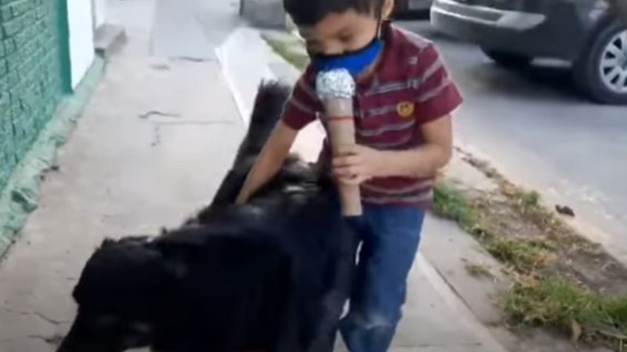 Niño causa ternura en redes haciendo un reportaje entrevistando perros