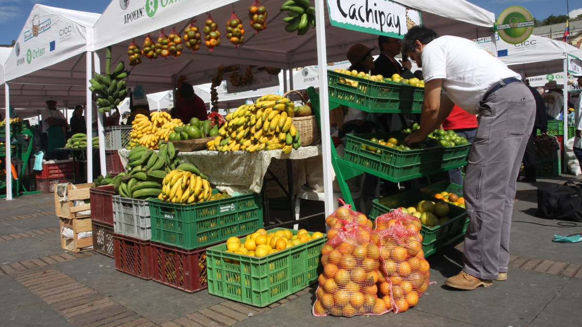 Ya puedes ordenar tu mercado campesino a domicilio en Bogotá