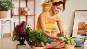 Tips para cuidar las plantas