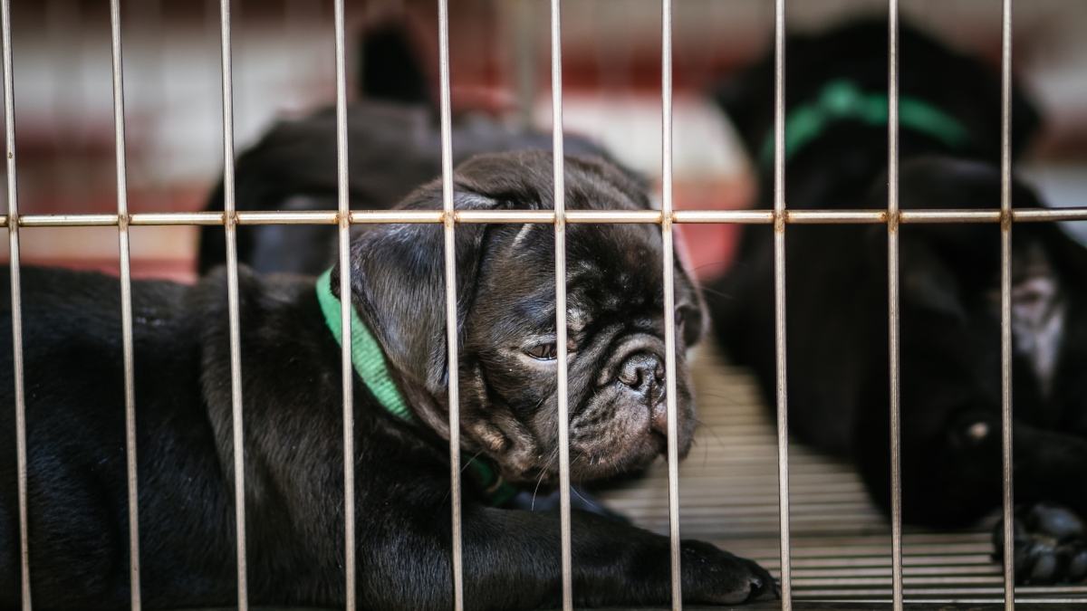 Foto: imagen de referencia Getty Images