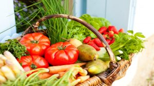 Canasta de diversas verduras (Foto vía Getty Images)