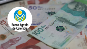 Banco Agrario Renta Ciudadana